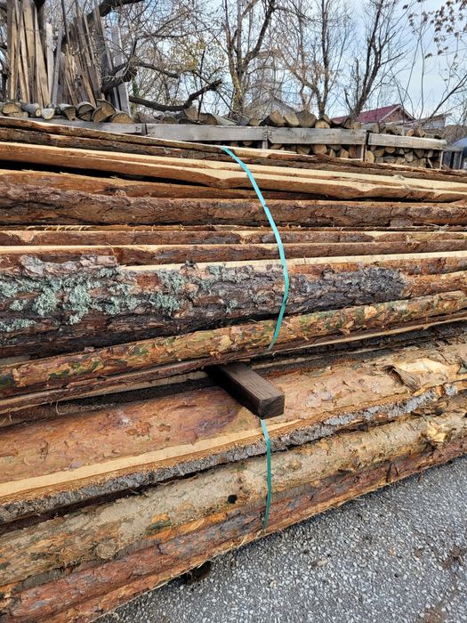 Иглолистни изрезки