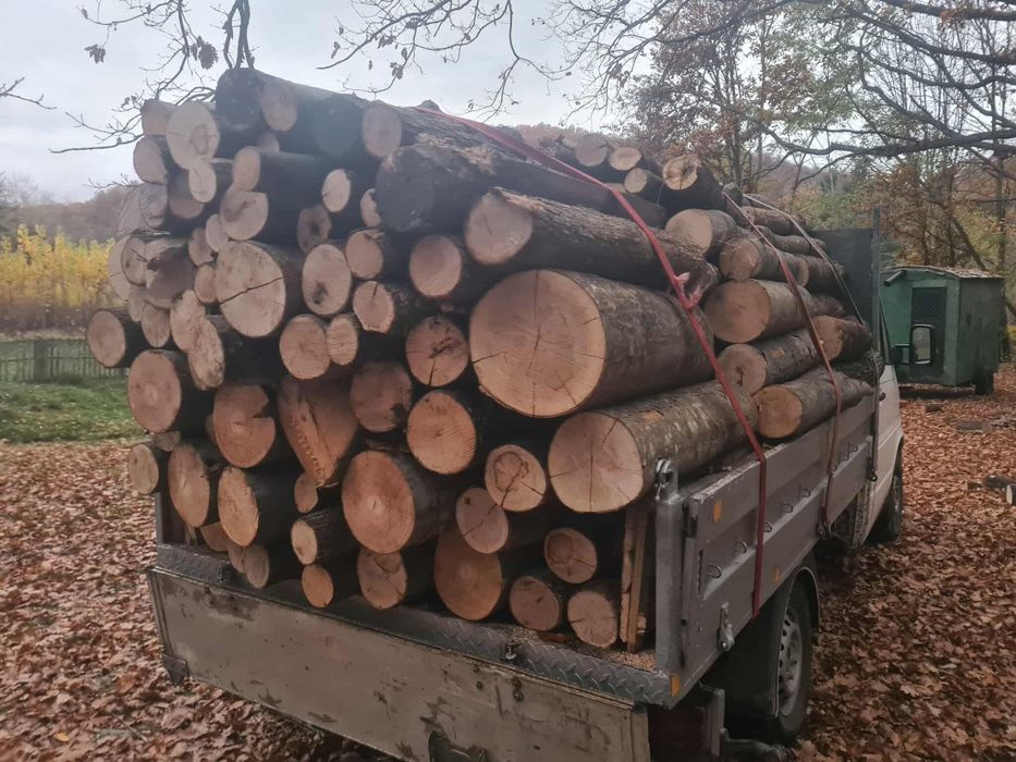 Vand lemne transport gratuit