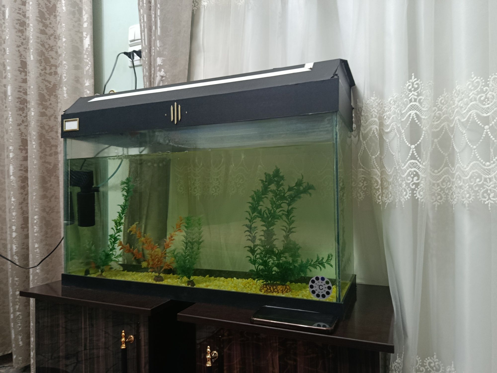 80Л в идеале только аквариум