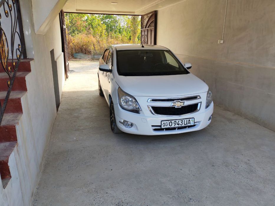 Cobalt 2018 2 pazitsa