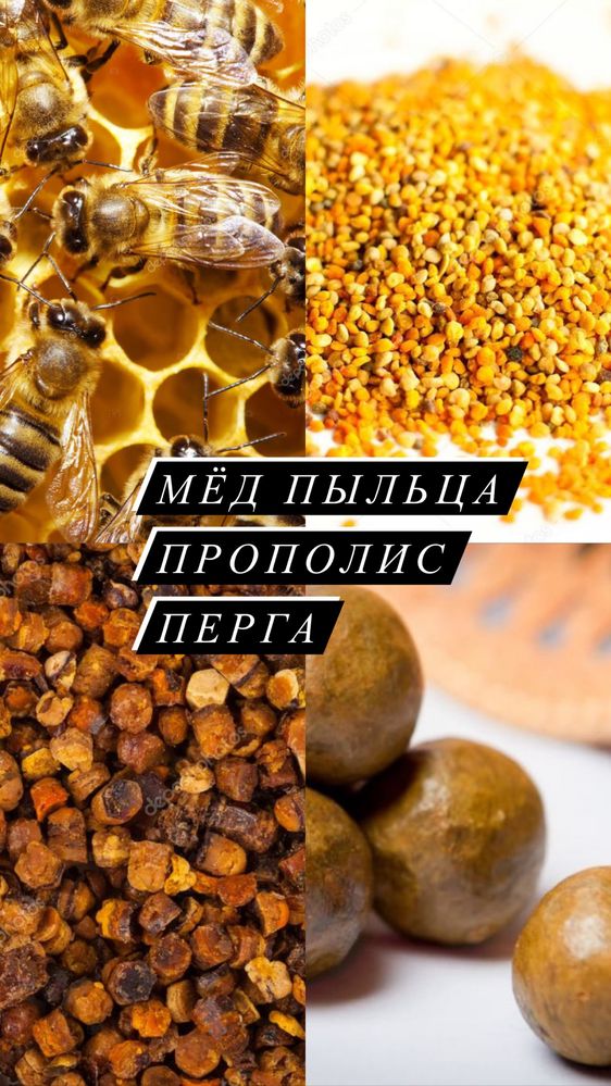 Натуральный мёд. Пчело продукты