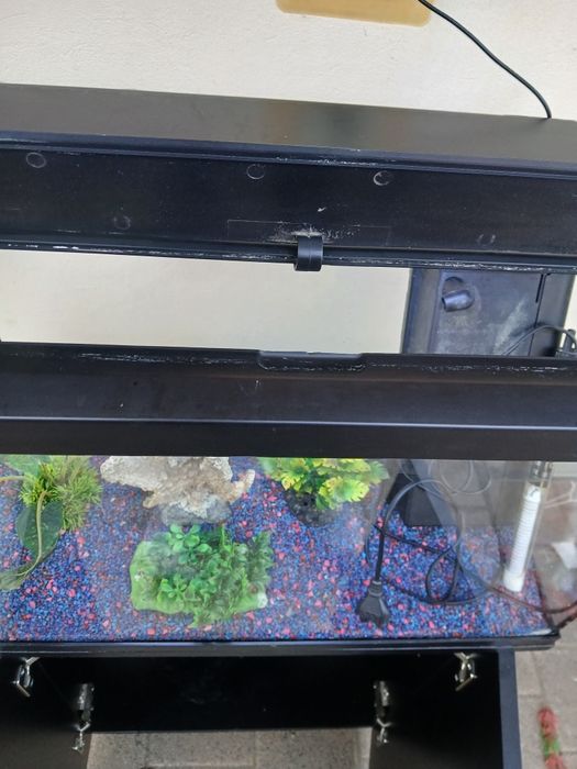 Acvariu pentru pești