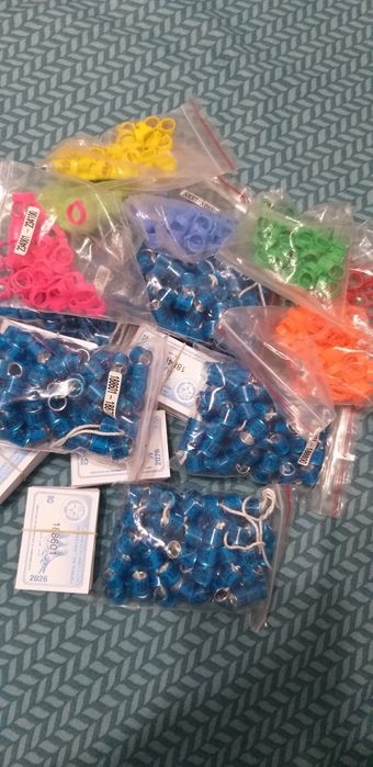 Inele și clipsùri porumbei!