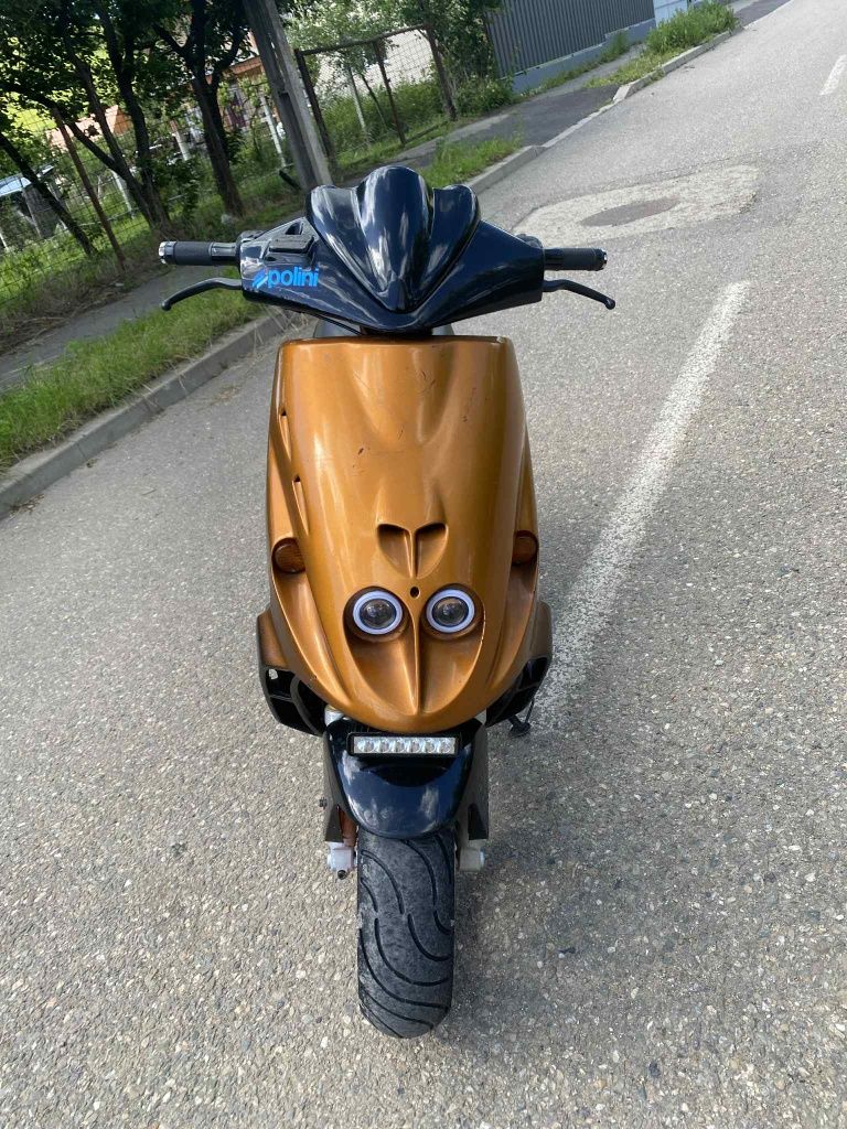 Vând malaguti  f12 ful polini