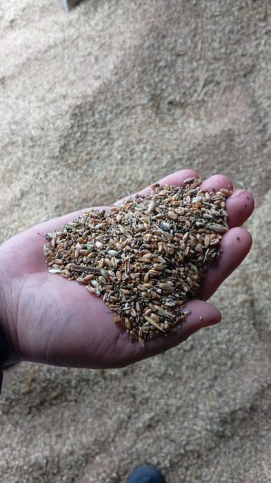 Зерноотходы и т.д. и т.п!!!