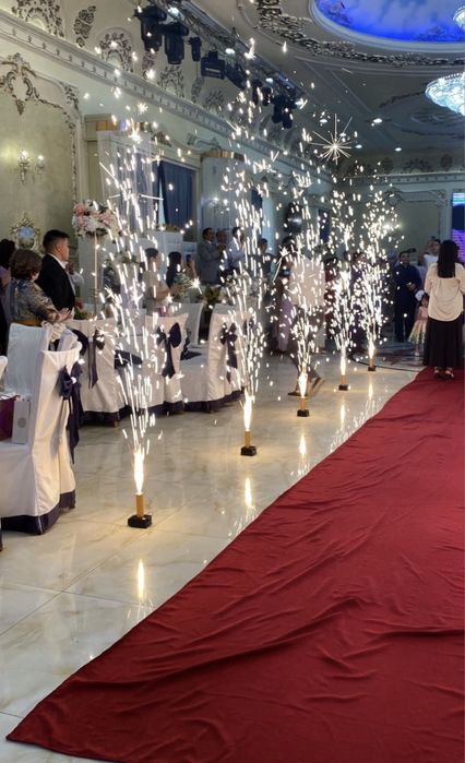 От шашу тысау кесер аниматоры лотос выход шоу торт