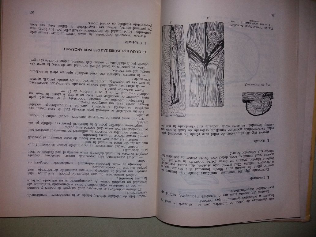 Tehnologia mobilei, 1969