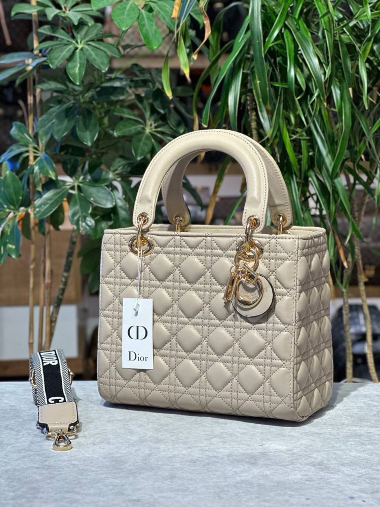 Geanta Dior Noua !!! Dimensiuni 25/20 !!!