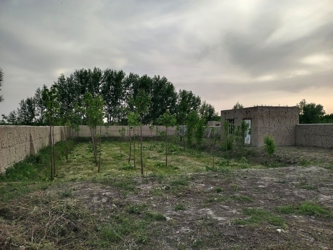 Арзон уй- жой Кадастри бор