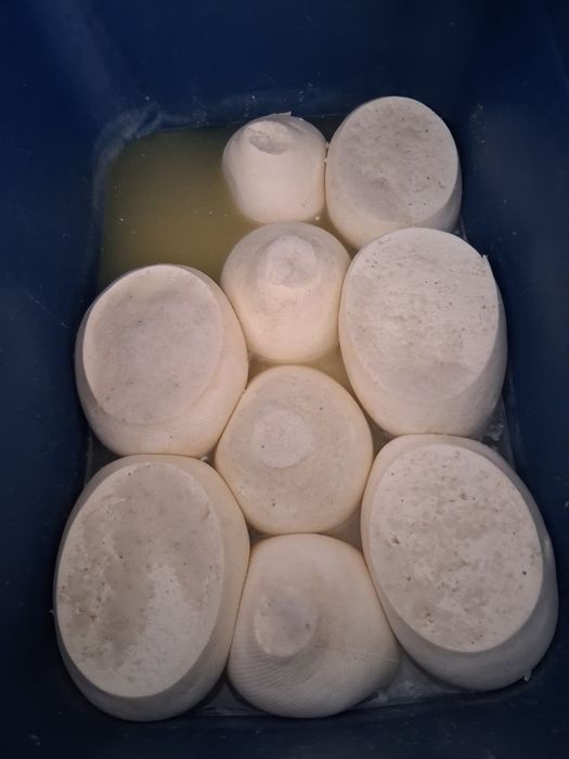 Telemea de oaie veche  30 de lei kg angro