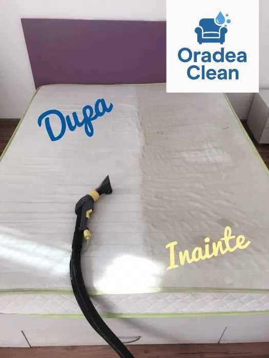 Curățare Profi canapele la domiciliu Prețuri mici rezultate impecabile