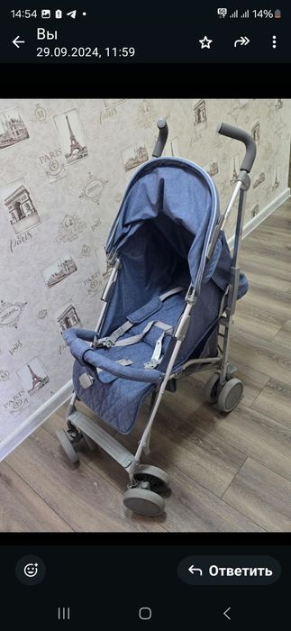 Коляска  прогулочная Babyton Sport Blue