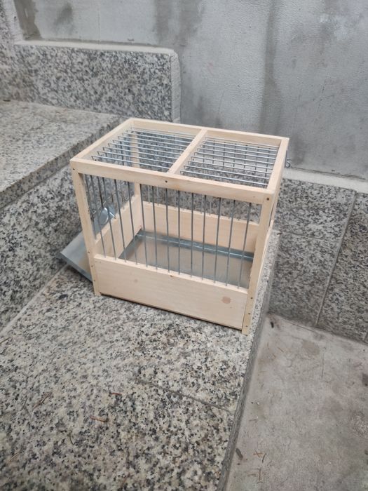 Colivie canari concurs