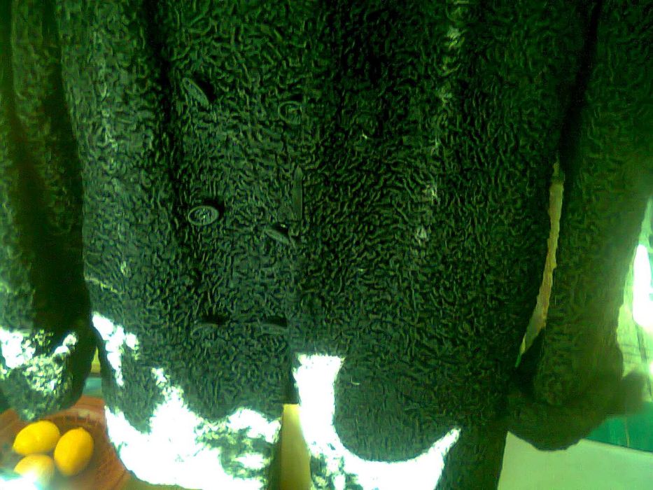 haina moderna dama din blana de miel