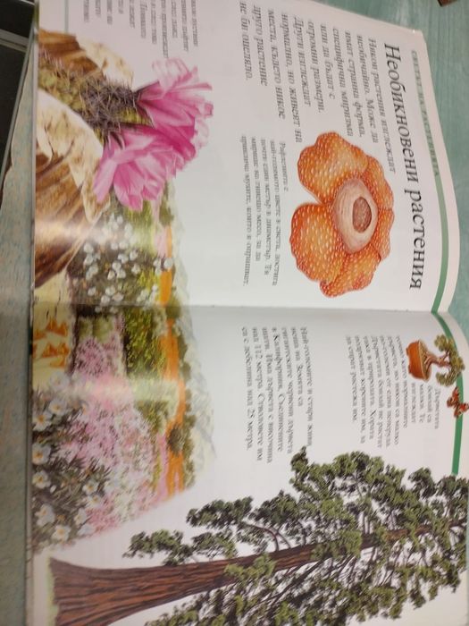 Енциклопедия за природата