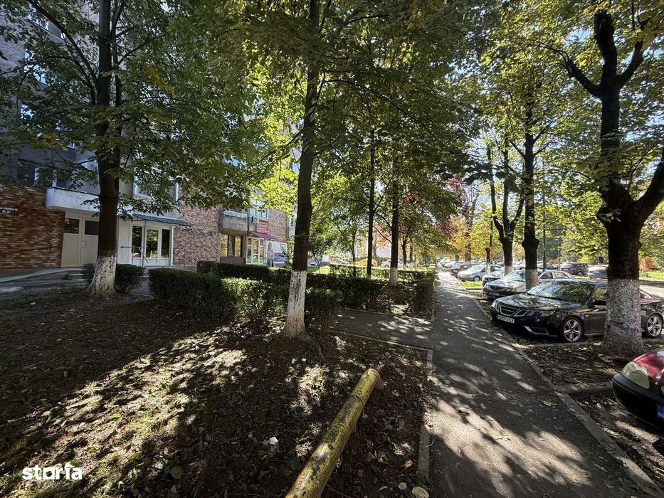 Chirie Spatiu Comercial Bld Corvin 30 mp Renovat.