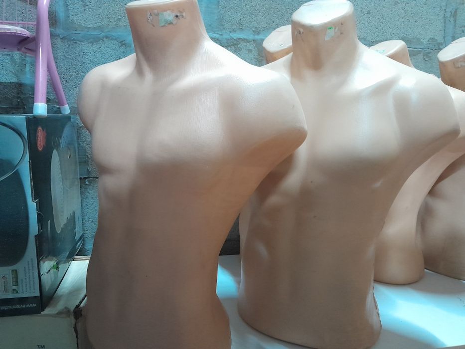 Продаем мужские торсы