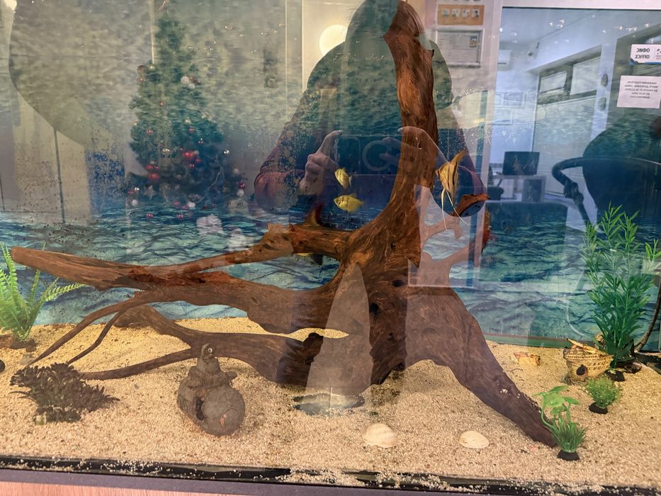 Аквариум за риби 650л