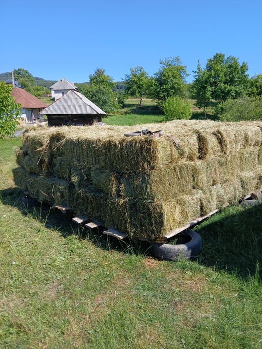 Baloți de fân și otavă
