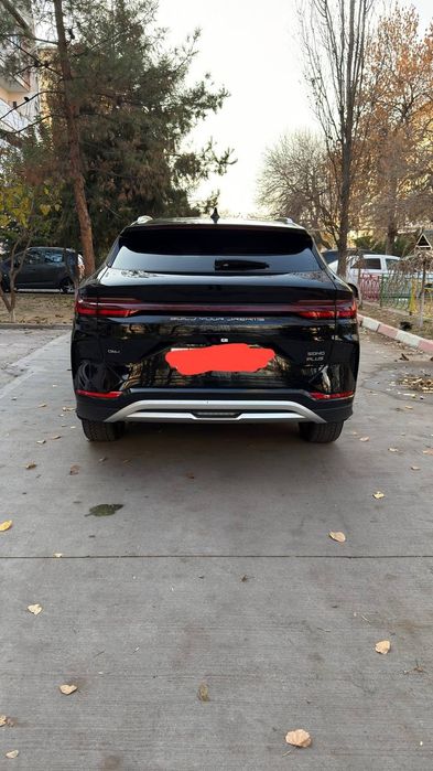 Song plus Chempion Uz-pride Dm-i