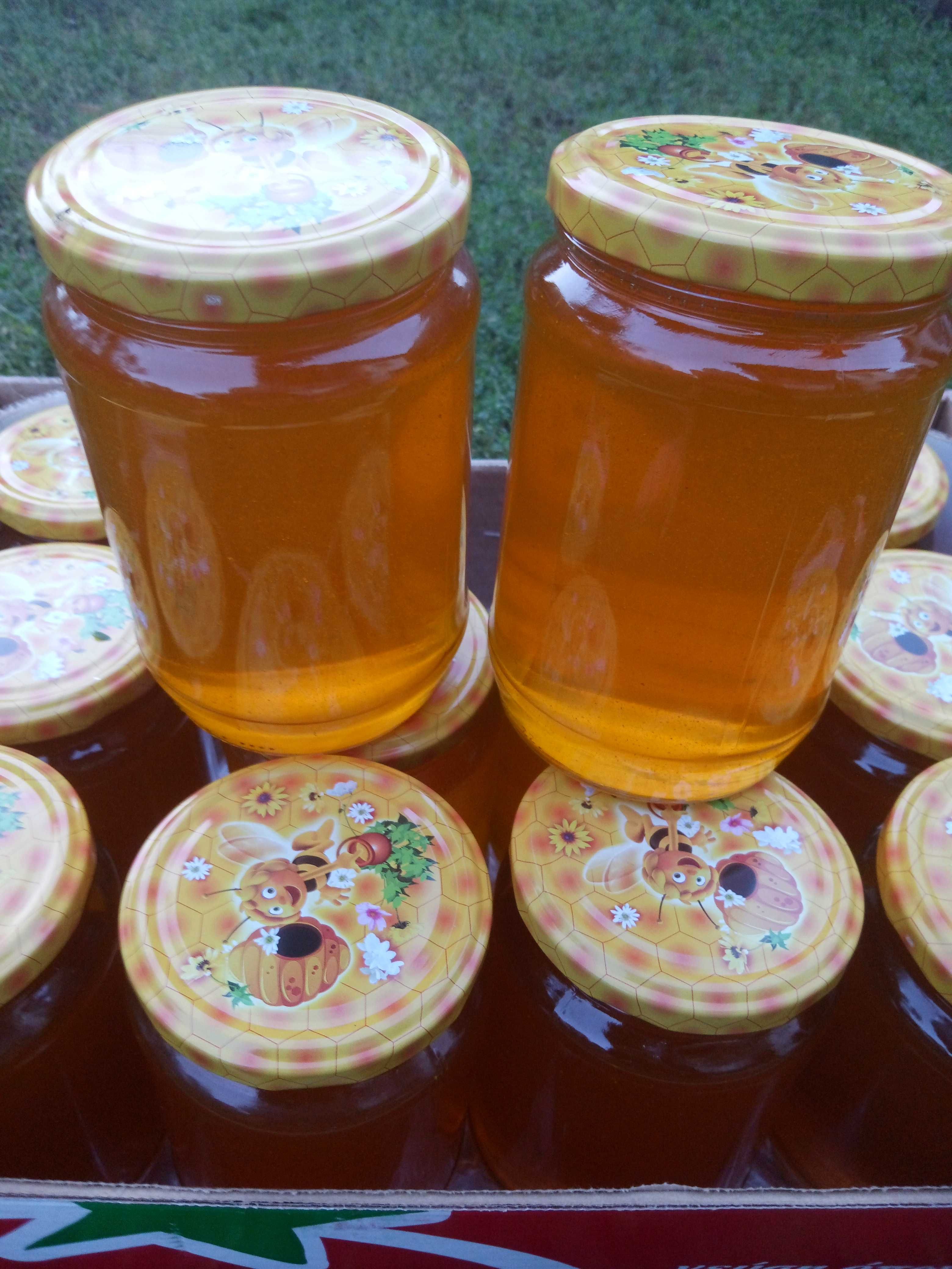 Пчелен мед 100%чист