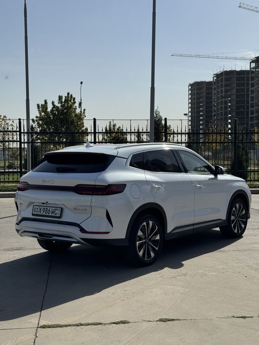 Byd Chempion Restailing 2024/25