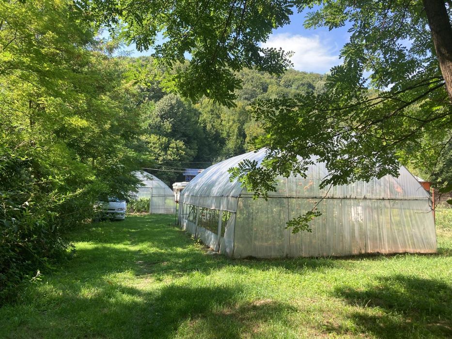 De vanzare teren Telega