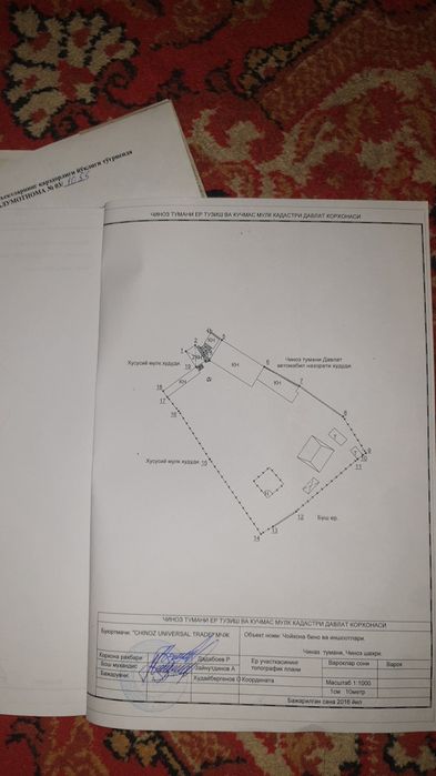 Чиноз Центрида 63 сотих Чойхона