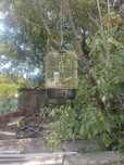 Colivie pasarele