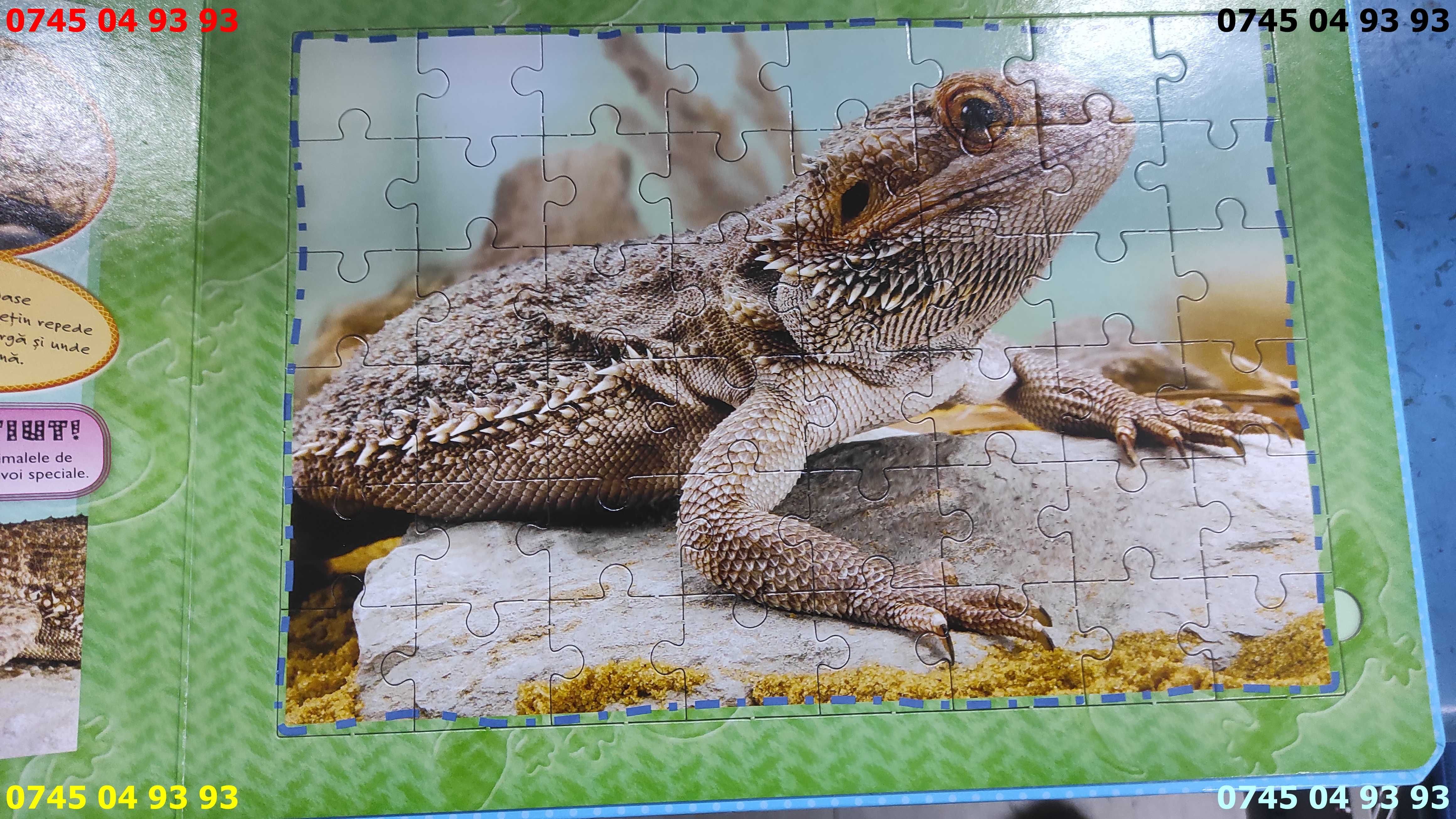 carti carte puzzle 5 puzzle arata foarte bine