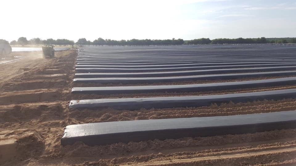 FOLIE MULCIRE, neagra, 4.2x250m=495 lei; 5.2x250m=555lei; 6.2x250m