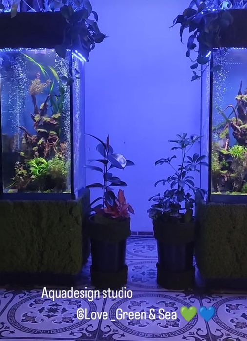 В продаже Аквариум Колонна