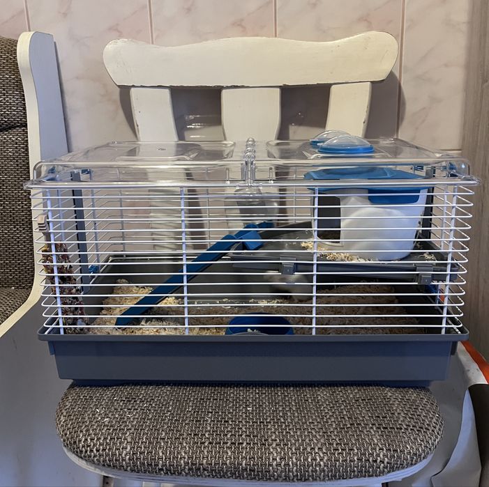 Donez Hamster pitic cu cusca