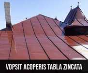 Vopsitor orice fel de tabla
