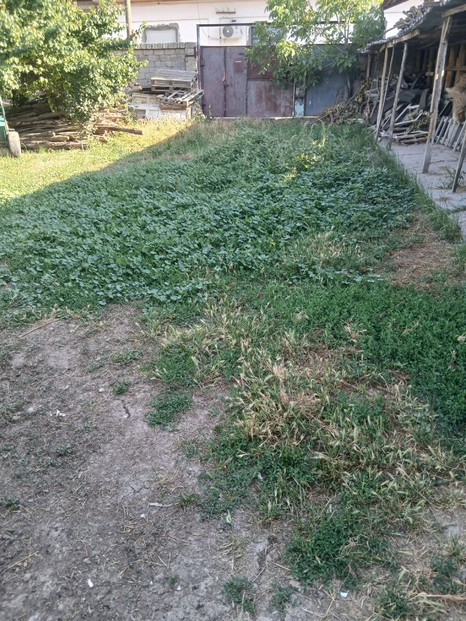 Quruq yer sotiladi
