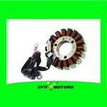Stator Alternator Yamaha YZF R-125 an 2008-2013 Bobina A844