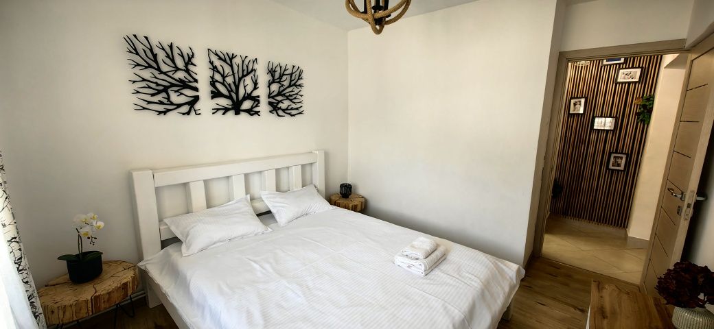 Cazare Targu Ocna  Apartament Daria
