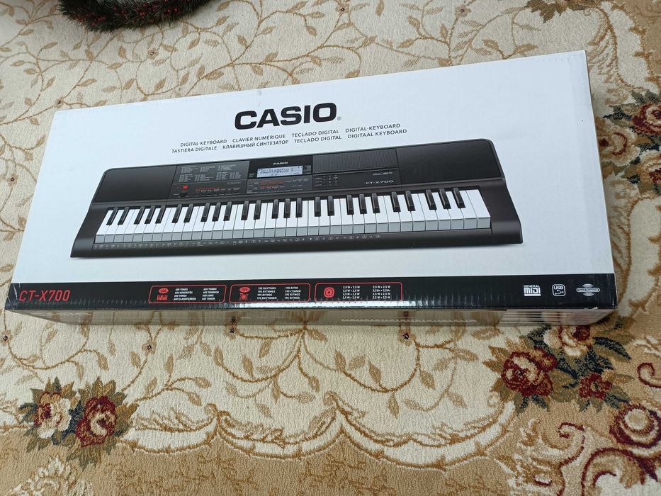 Orga CASIO CT-X700