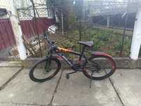 Bicicleta GREEN LUXury