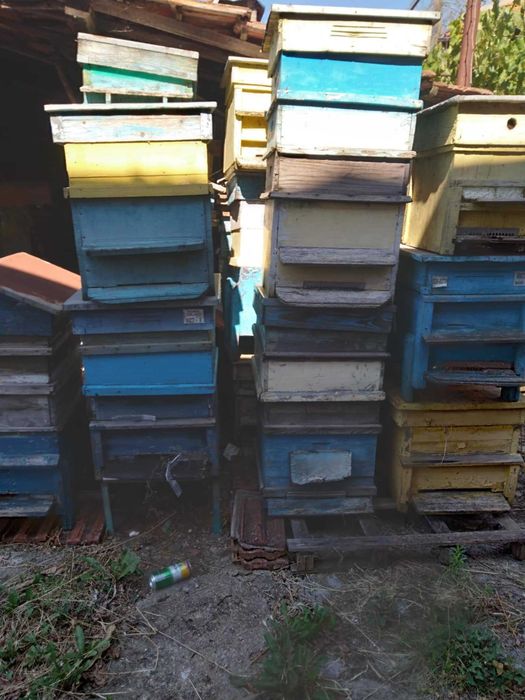 Продавам магазини и кошери втора ръка 15лв магазин