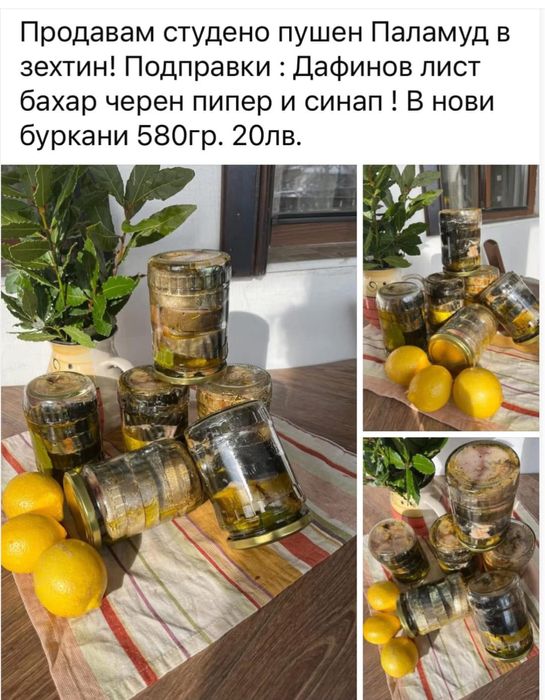 Продавам  черноморски Паламуд 20лв Сафрид.