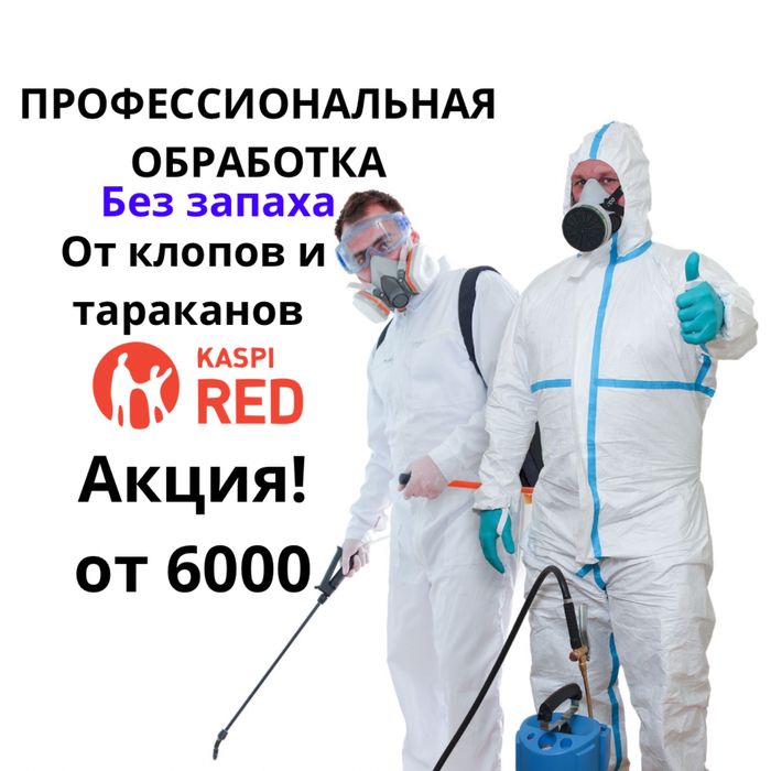 Дезинфекция Дизинфекция Дезинсекция таракан клоп мышь насеком