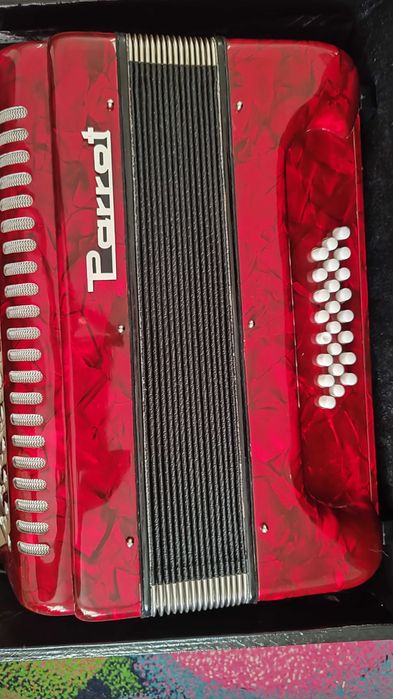 Acordeon 24 basi