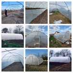 Solarii Legume - Solarii de Gradina - Transport Gratuit
