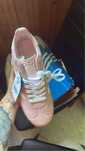 Adidas Gazelle noua