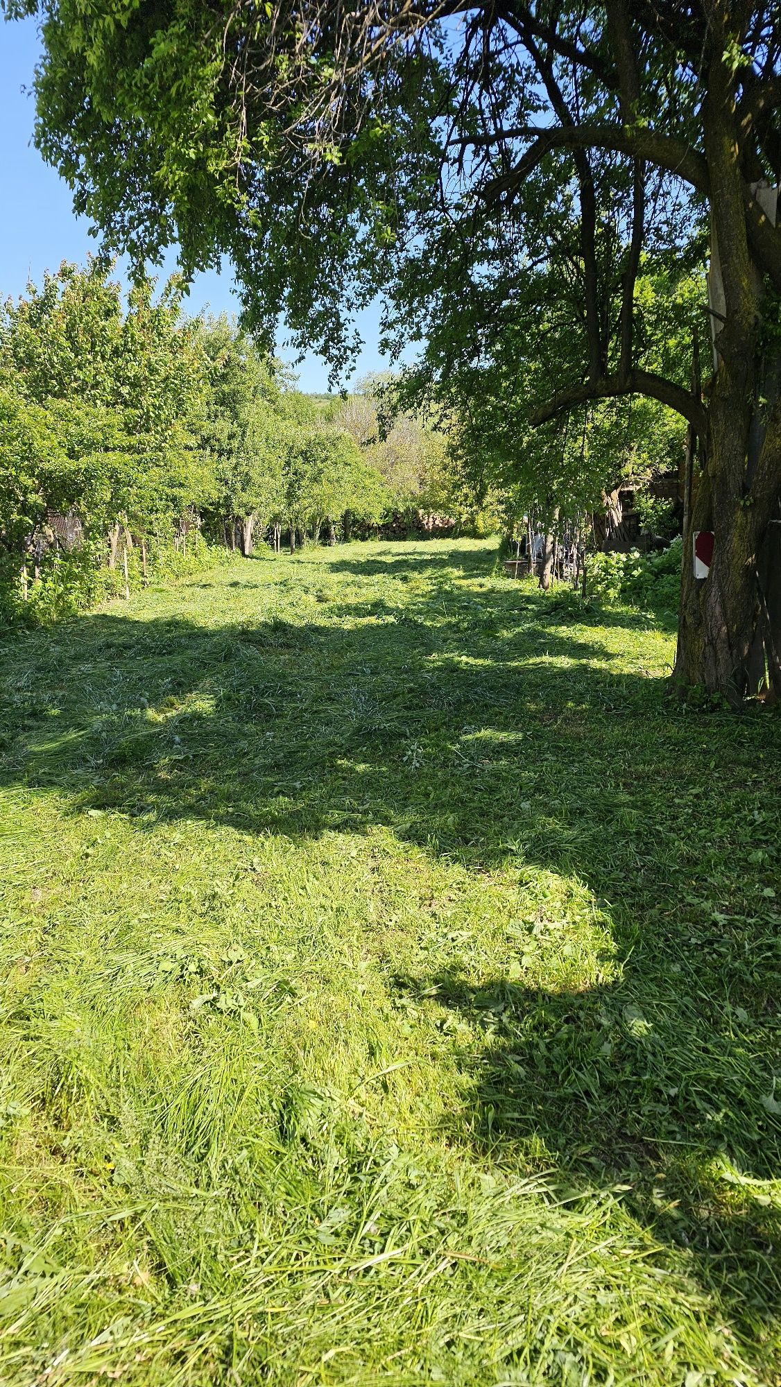 Косене на тревни площи