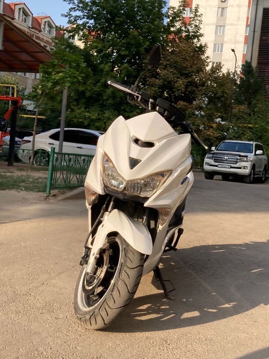 Мопед хонда веном