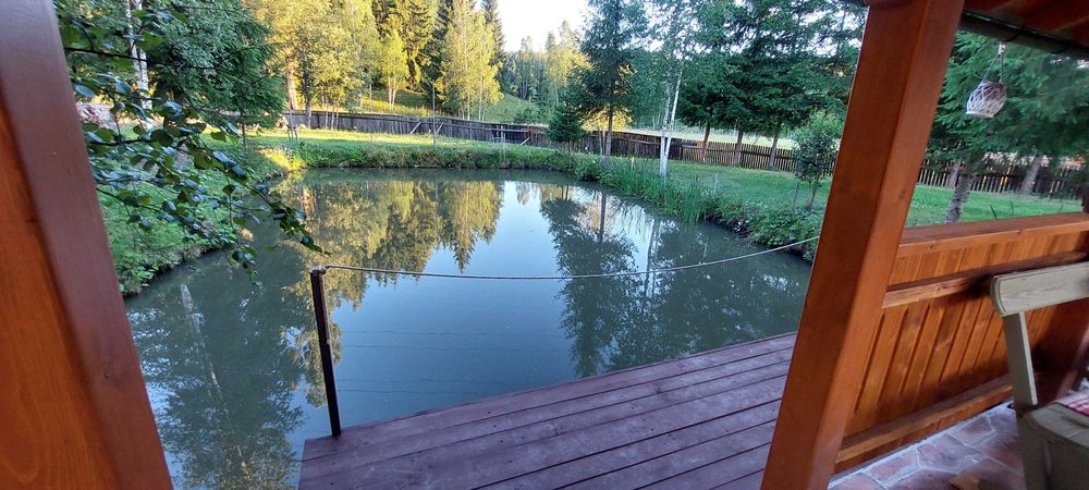 Revelion Izvoru Mureşului