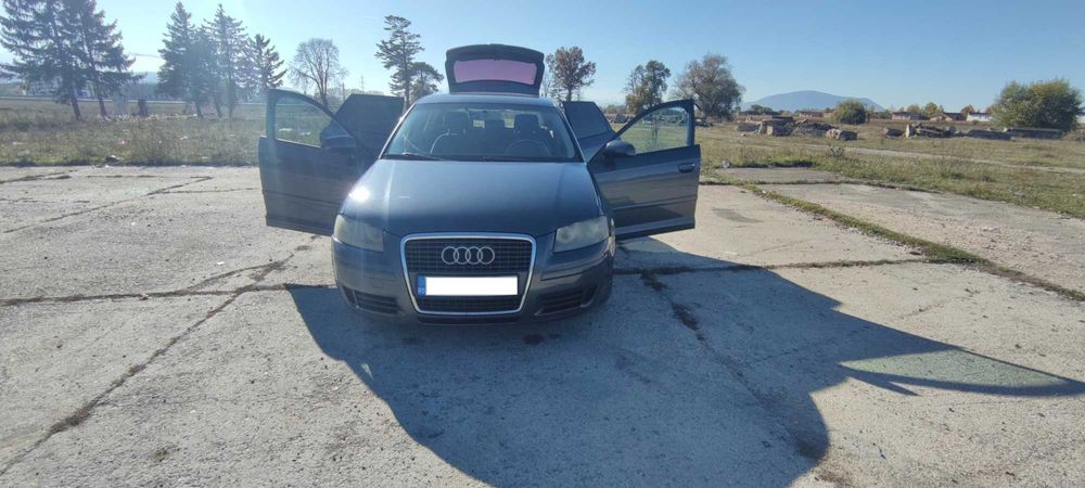Audi A3 8P 2007 2.0 TDI