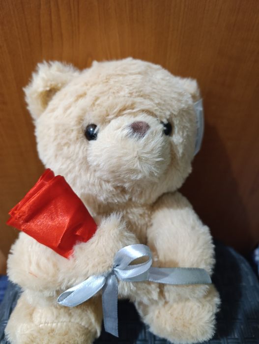 Vând ursuleț pluș